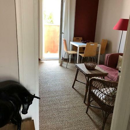 Appartement Hippolyte Montpellier Ngoại thất bức ảnh